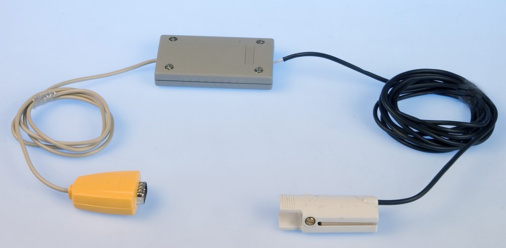 ������ ������