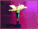 Cabbage flower model