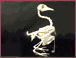 Pigeon’s skeleton